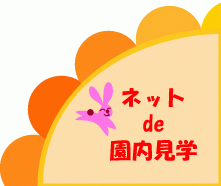 �l�b�g�ŉ������w